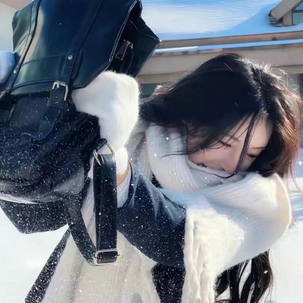紫禁秘录