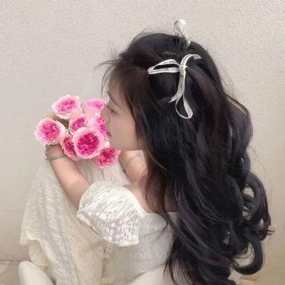 笨人寻春